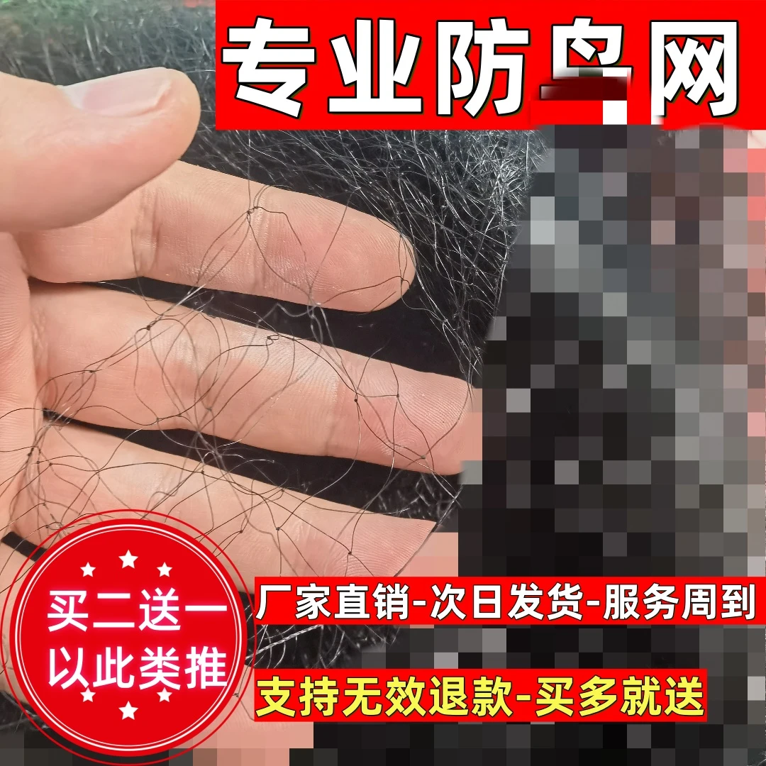 农业种植防护网果园防乌网果树防护网源头货源一件批发