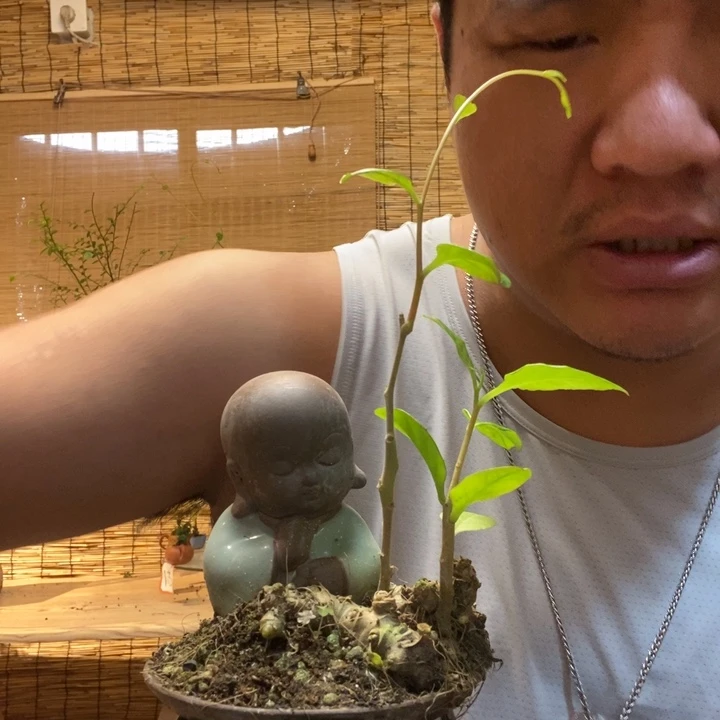 渣****4一物一拍所见即所得125