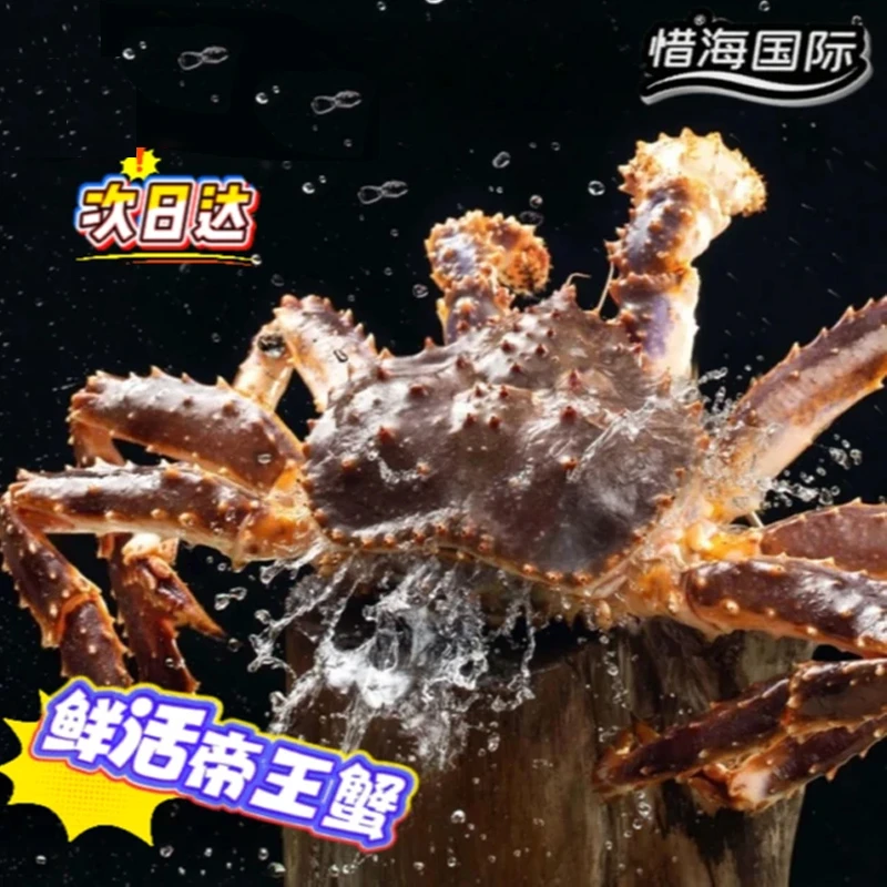 (保鲜不保活)山东地区活到俄罗斯深海帝王蟹现场称重改价保鲜