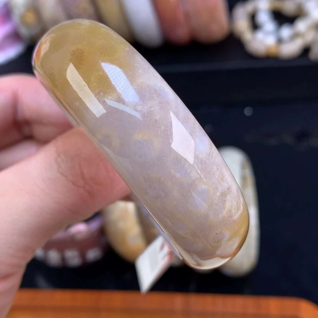 硅化珊瑚（珊瑚玉）未镶嵌颈饰77号51.3圈润润的