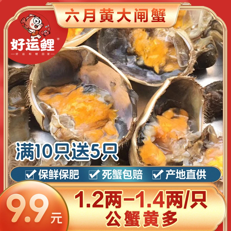 【不绑腿-1.2-1.4两/只】满10只起送，包鲜活