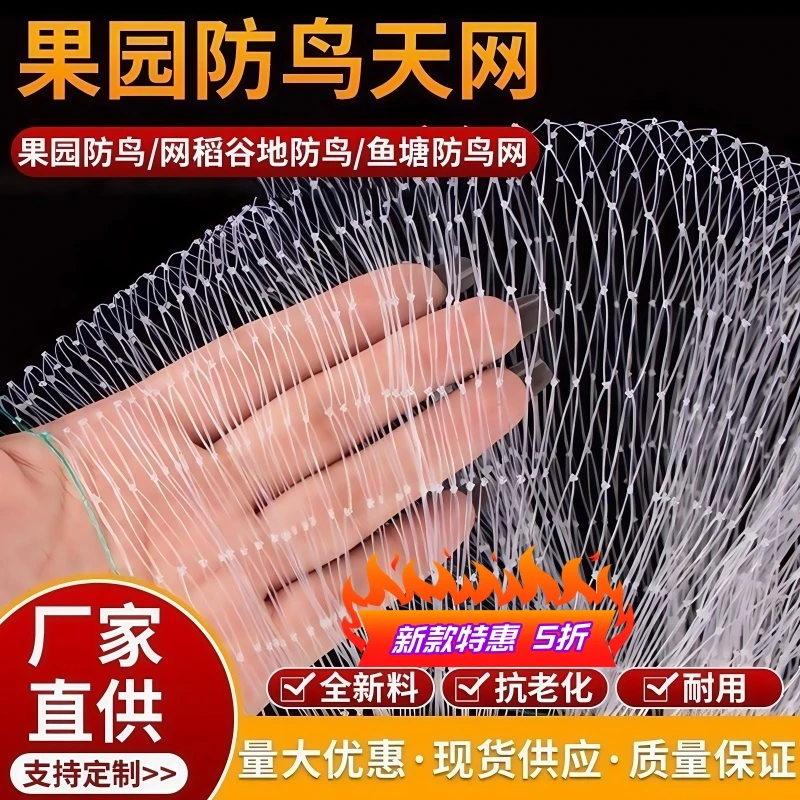 果树防鸟网罩樱桃网嘉宝果无花果树防鸟用网尼龙丝网纱网防护罩
