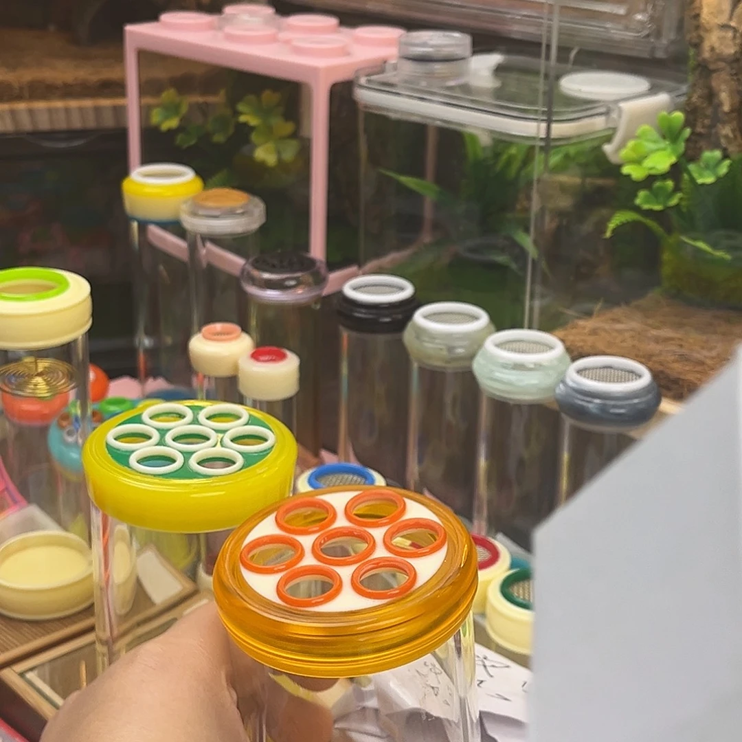 ，***，蝈蝈罐➕2绿蝈蝈哈哈哈