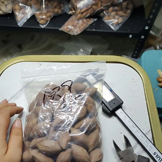 没***心吊坠橄榄核散籽一包