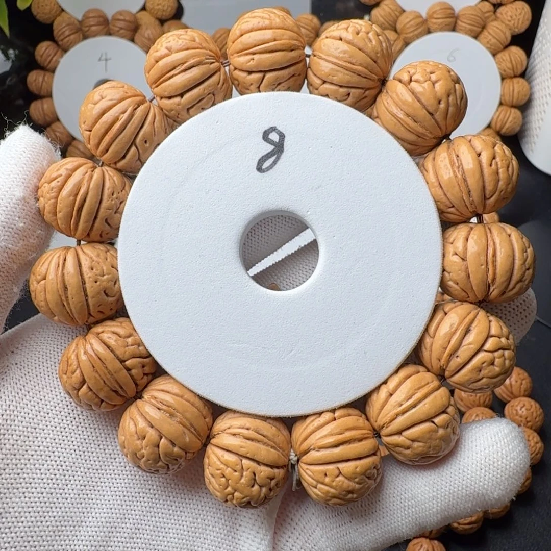 手串桃核金鱼肚同树果