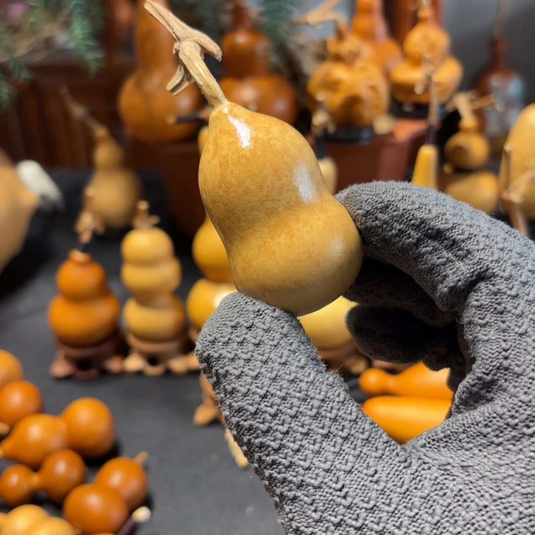 晚****葫芦888888888888888