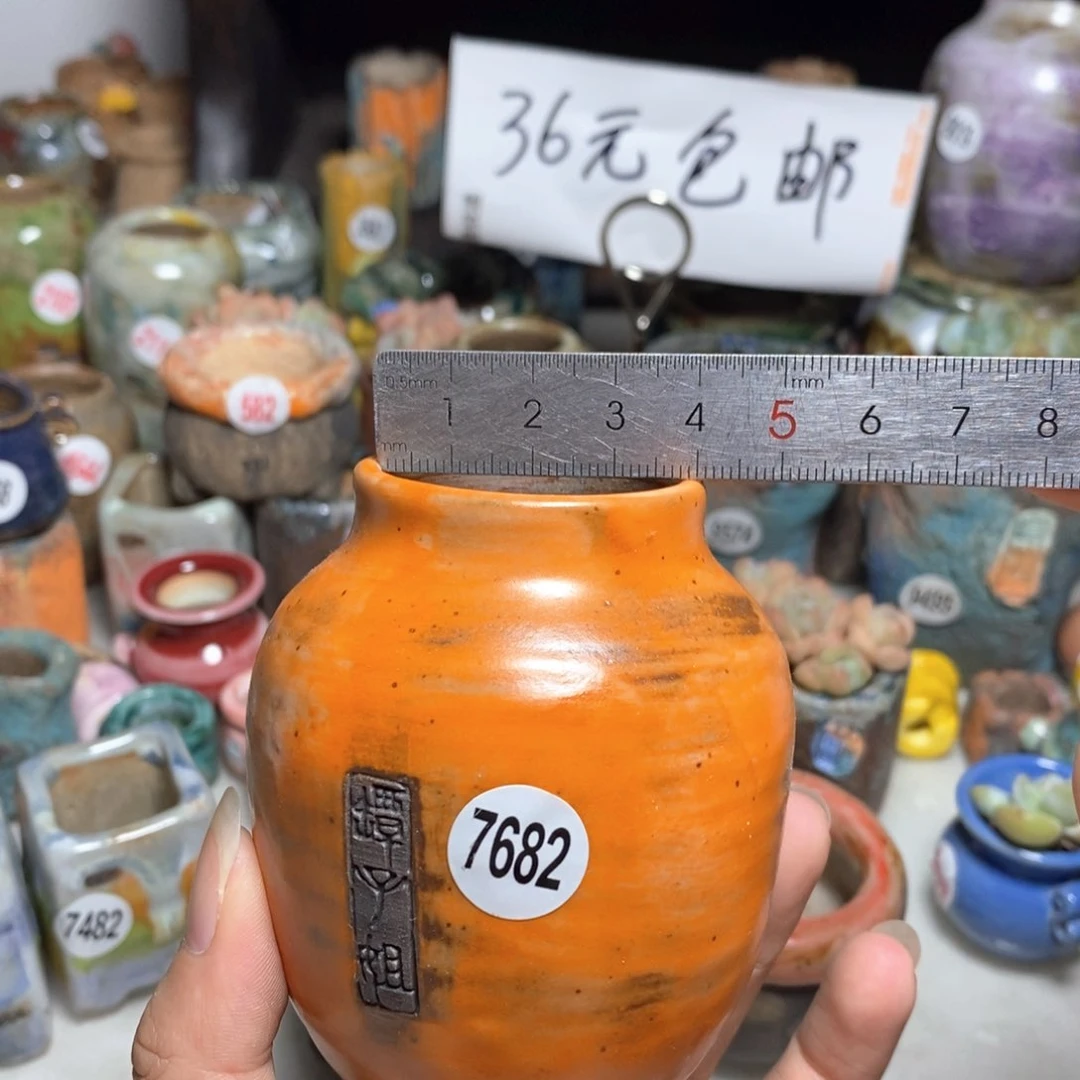 拍3送一个小礼物