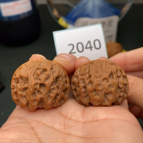 文玩核桃把件喝**刘35苹果园2040