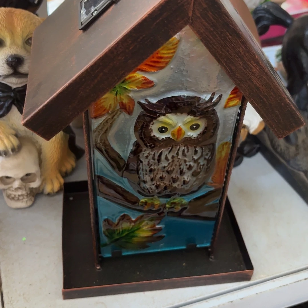 核桃木/黑胡桃（胡桃木）