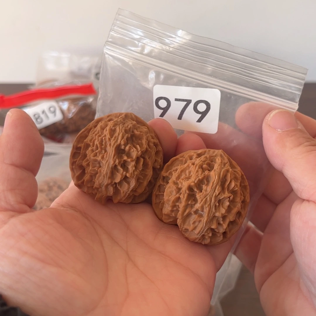 吊坠文玩核桃苹果园42微修