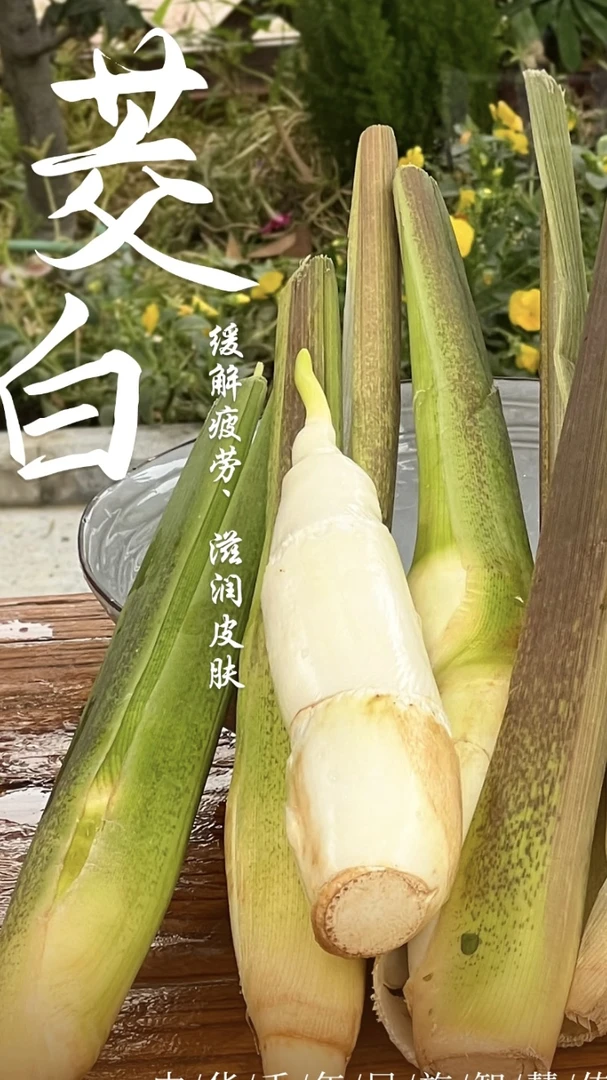 伊甸园新鲜农家蔬菜头茬茭白现摘现发本地时令菜