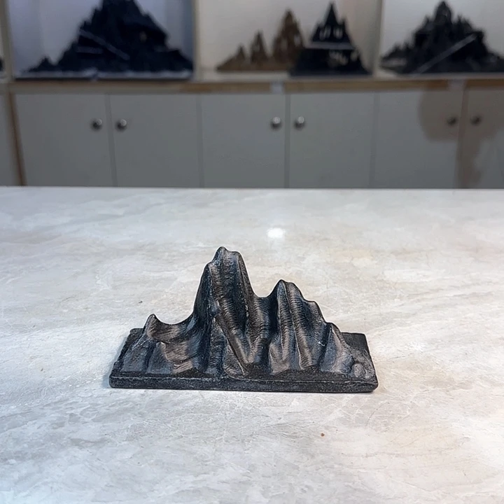 灵璧奇石博览会金奖五*