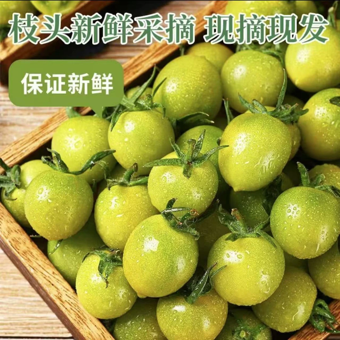【京东包邮】山东寿光青甜二号绿色圣女果皮薄多汁自然成熟2-3-5斤