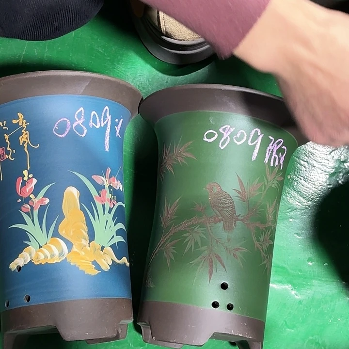 竹***菊花盆紫砂微瑕中号