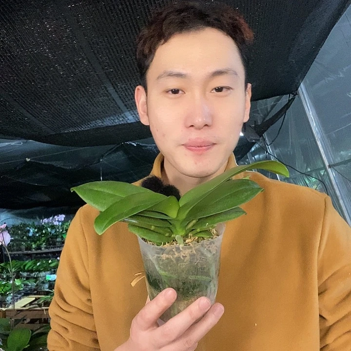 无花朵欧品小蓝福利
