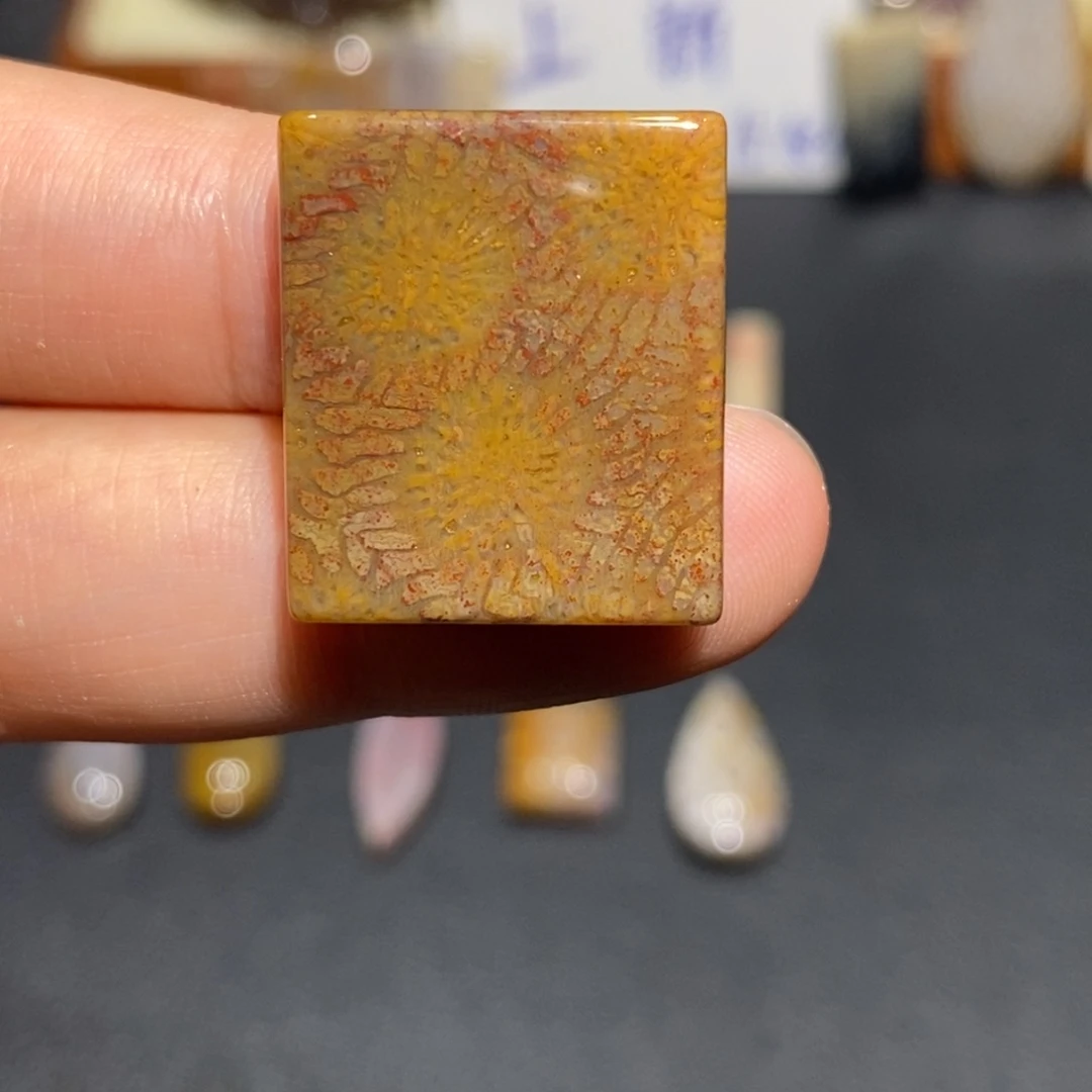 【闪购商品】未镶嵌珊瑚玉硅化玉