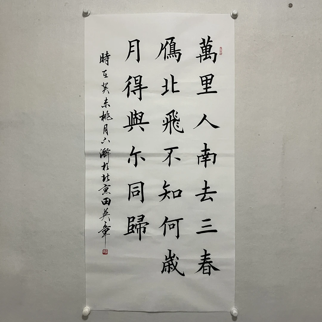 6867  书法 纸本水墨画心 画心尺寸： 136×68