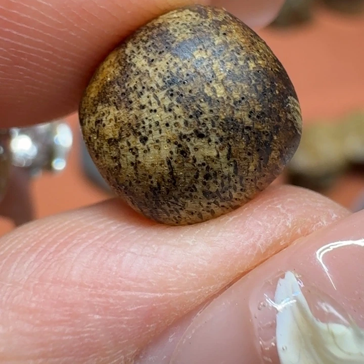 沉香碎屑沉香馨安居沉香88888