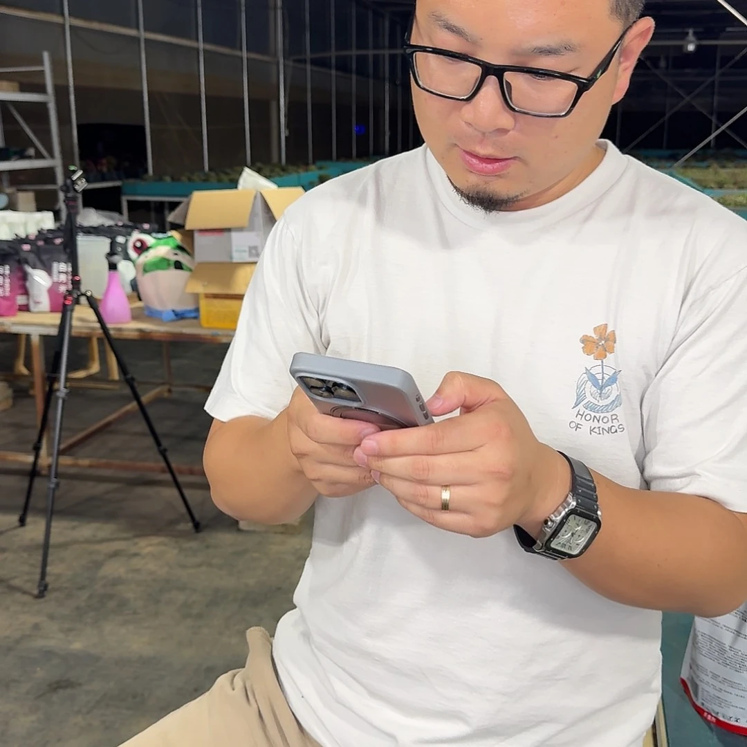 从前慢多肉编号大小黑