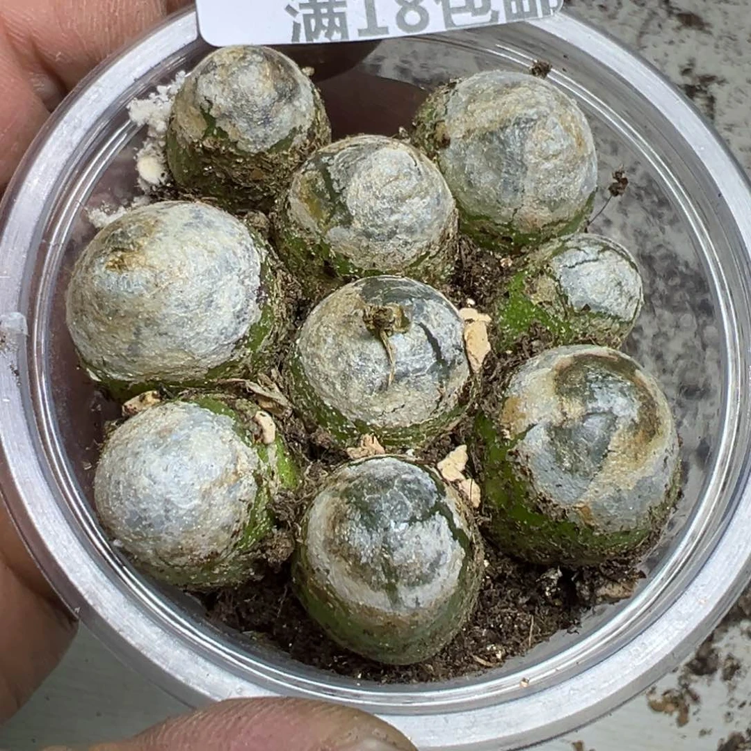 【闪购商品】 134。