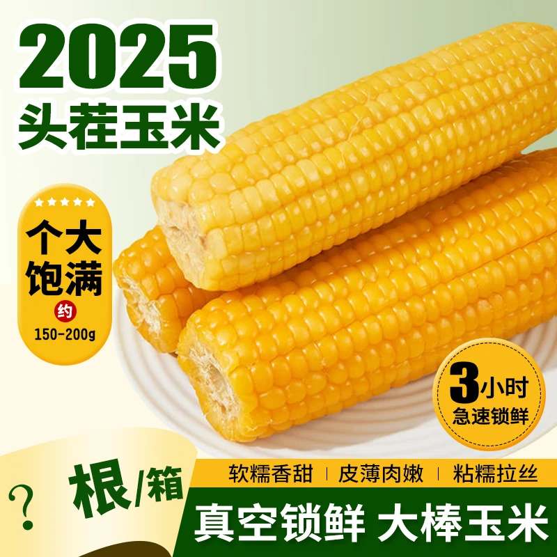 试吃6根】头茬东北黄糯玉米到手15根真空包装软糯香甜