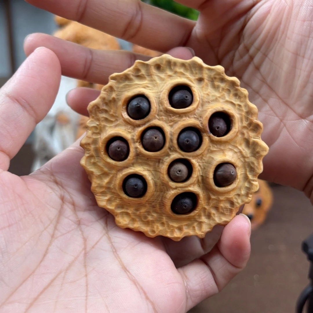 柏木（崖柏）崖柏太行山脉