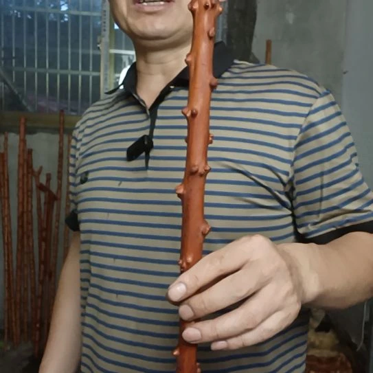 柏***洋木高山 檬子木文玩料