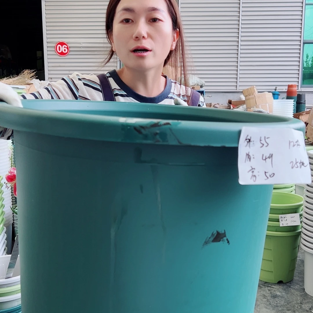 瑕疵四季盆12#墨绿2个无托