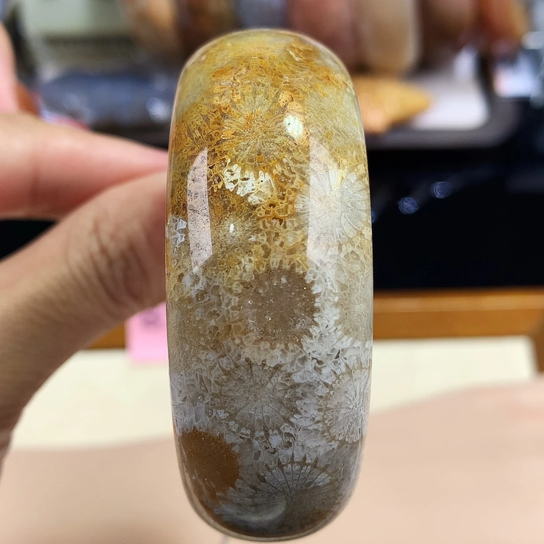 硅化珊瑚（珊瑚玉）未镶嵌吊坠(赠链)5号52.3圈口