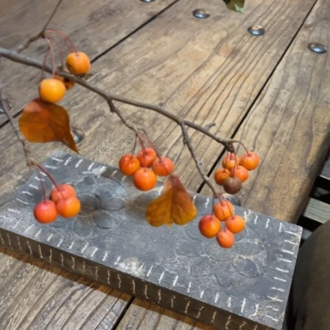 M****)天天开心时时快乐