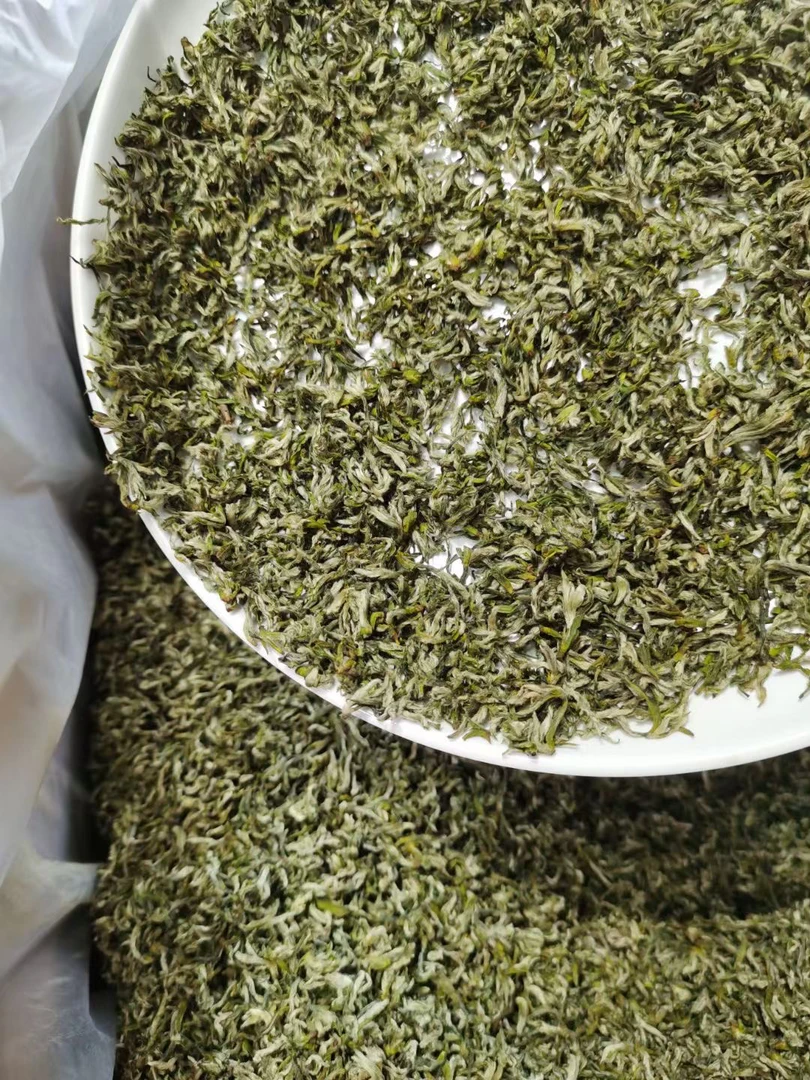 2025年开园蒙顶甘露