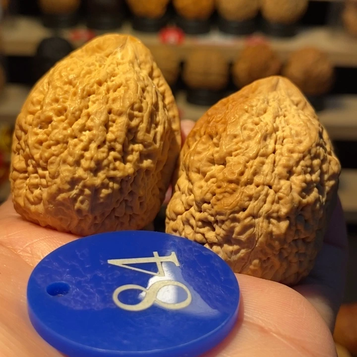 峰***！木质类七彩铁南疆41尺寸，树头对