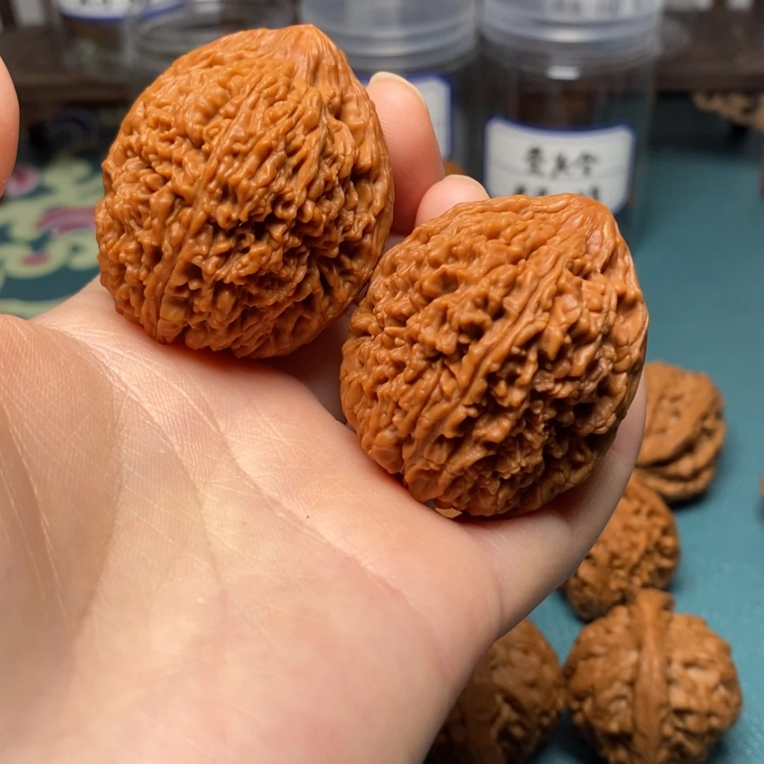 核桃38尺大蒜头修