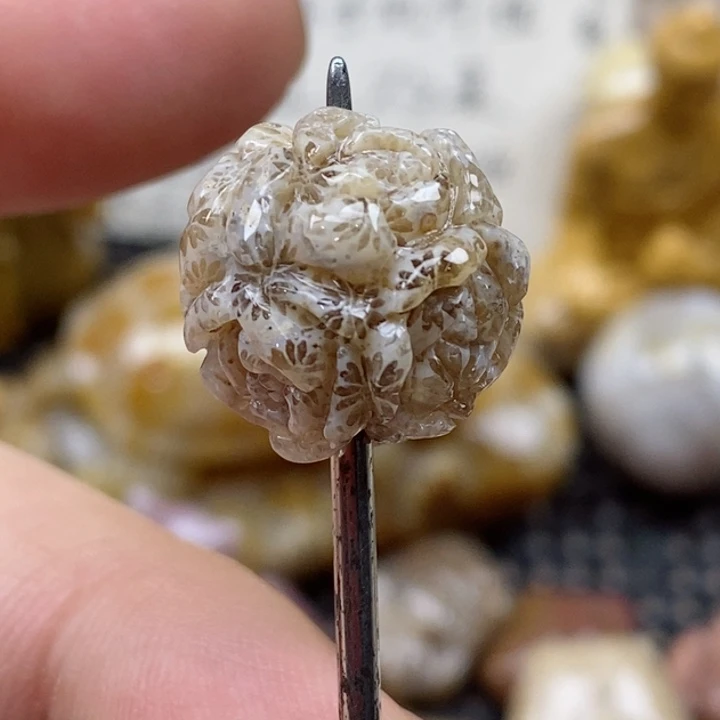 颈饰未镶嵌硅化珊瑚（珊瑚玉）