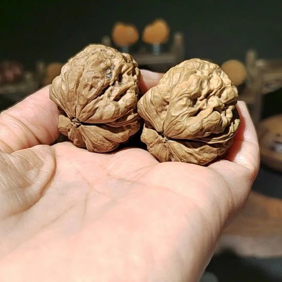 把件文玩核桃福利云铁灭霸39.5尺