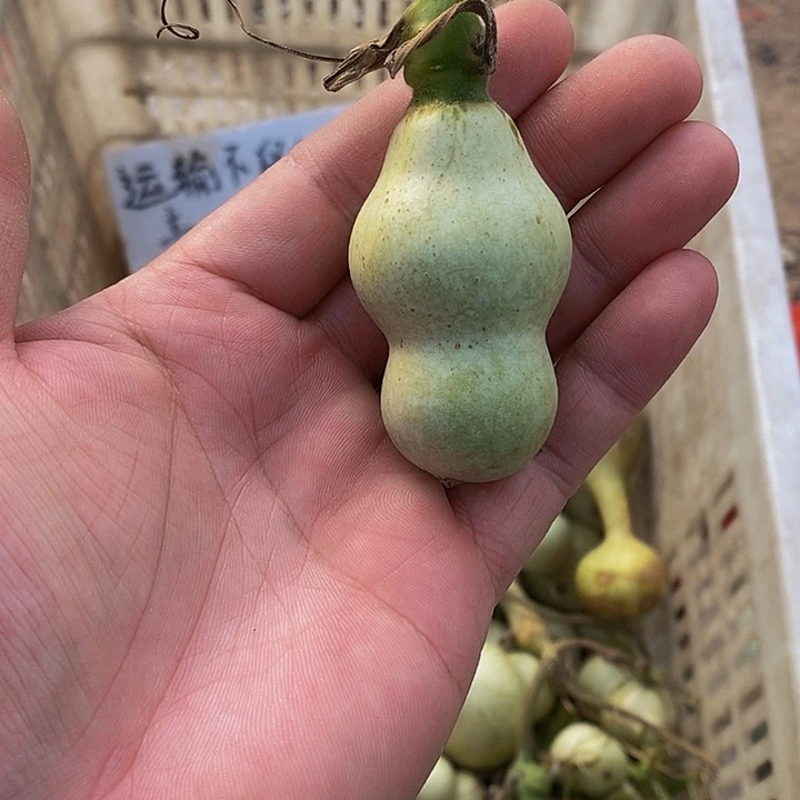 落**晖哈哈哈哈哈哈哈哈