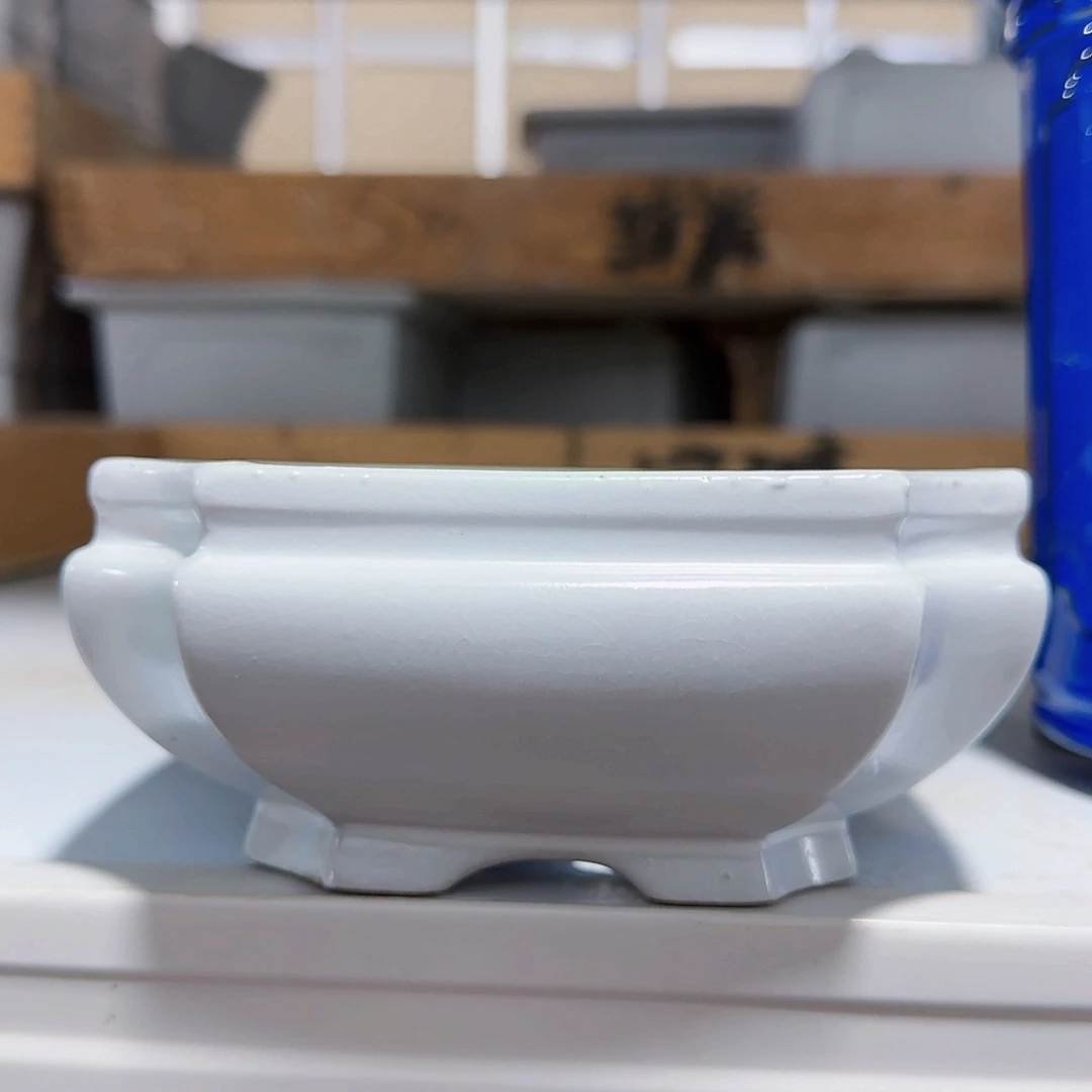 陶瓷花盆特价上新