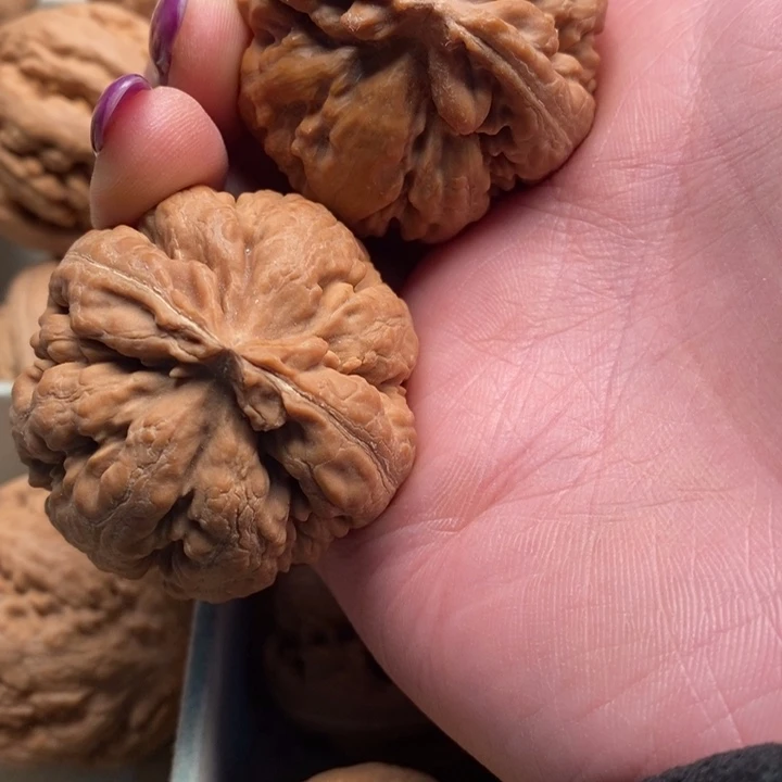 丿***乐文玩核桃手串霸王龙