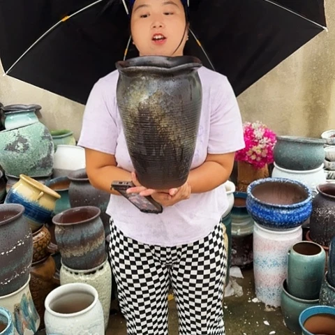 20口31高一个盆子。