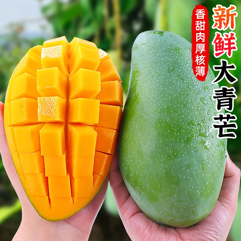 【肉厚香甜】云南大青芒2.5-9斤绿芒果多汁青皮芒果甜心芒新鲜水果