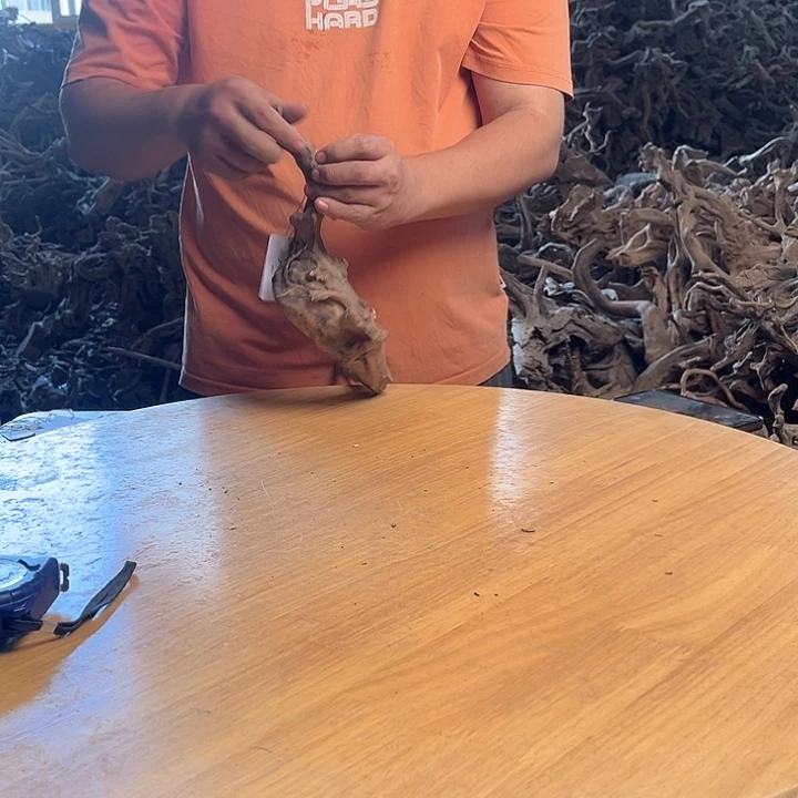 木331513 鱼缸造景根雕艺术133