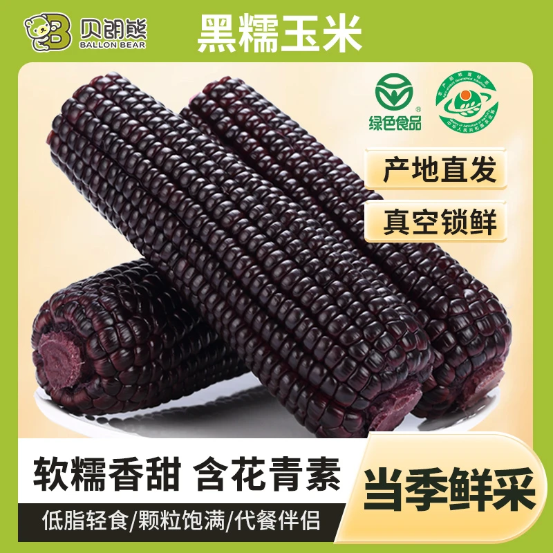 BALLON BEAR/贝朗熊2025年头茬甄选山西忻州黑糯玉米8根装