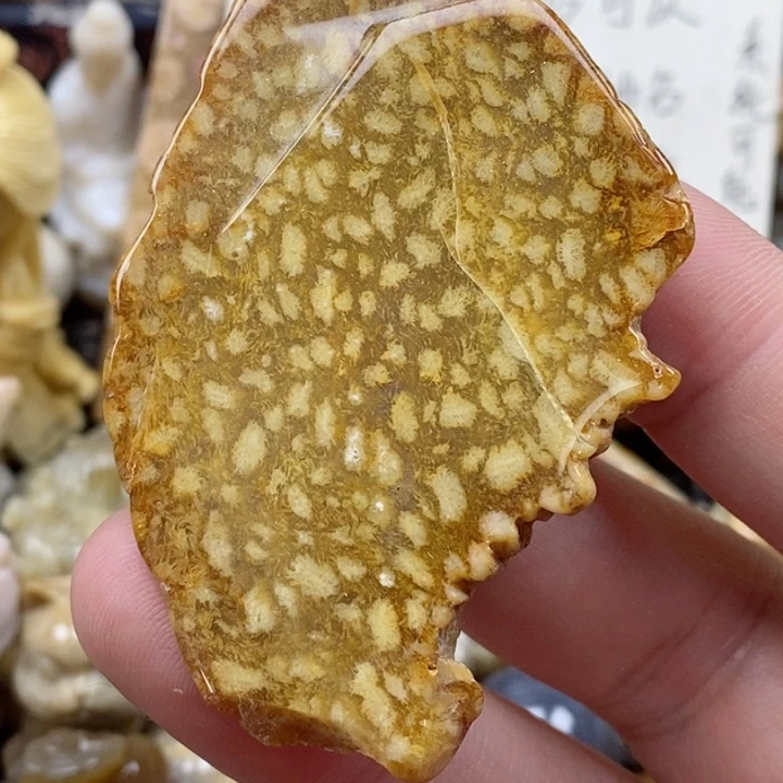 颈饰未镶嵌硅化珊瑚（珊瑚玉）有瑕