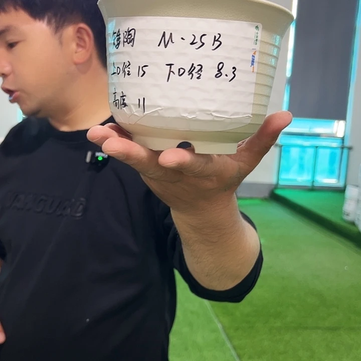 正品矮陶口15高11果绿色10个带托