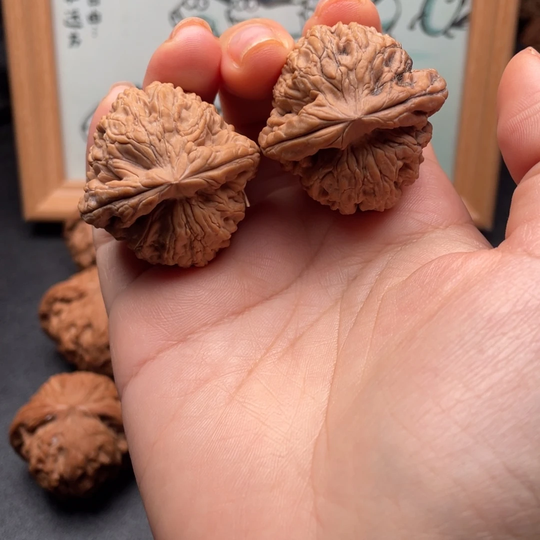 把件文玩核桃37全品龙骨舍利