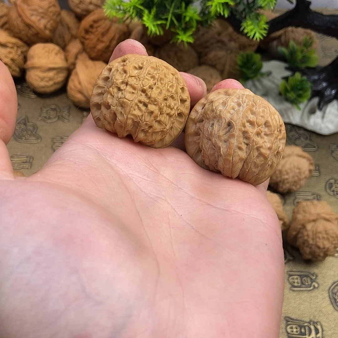 方***型核桃血麒麟37+38编号014