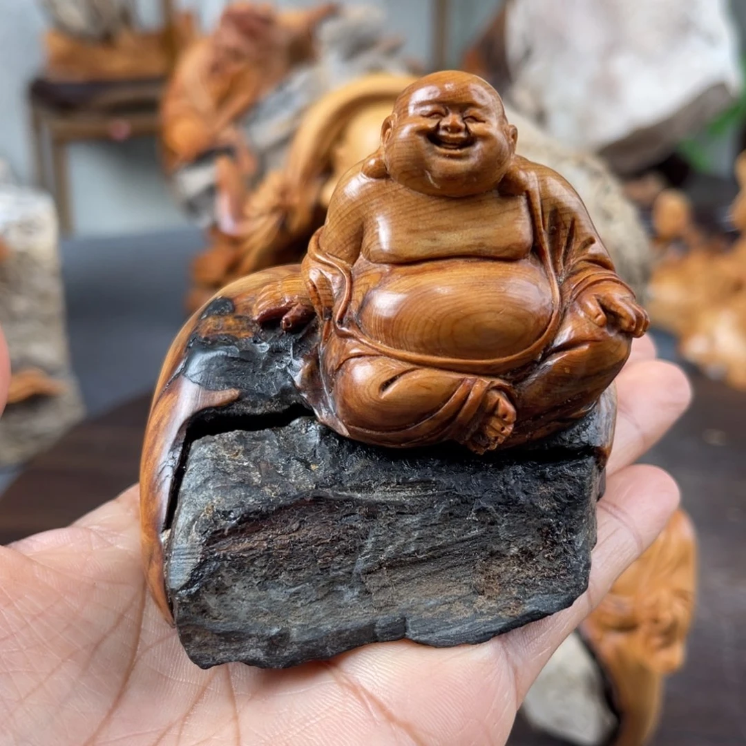 柏木（崖柏）崖柏太行山脉