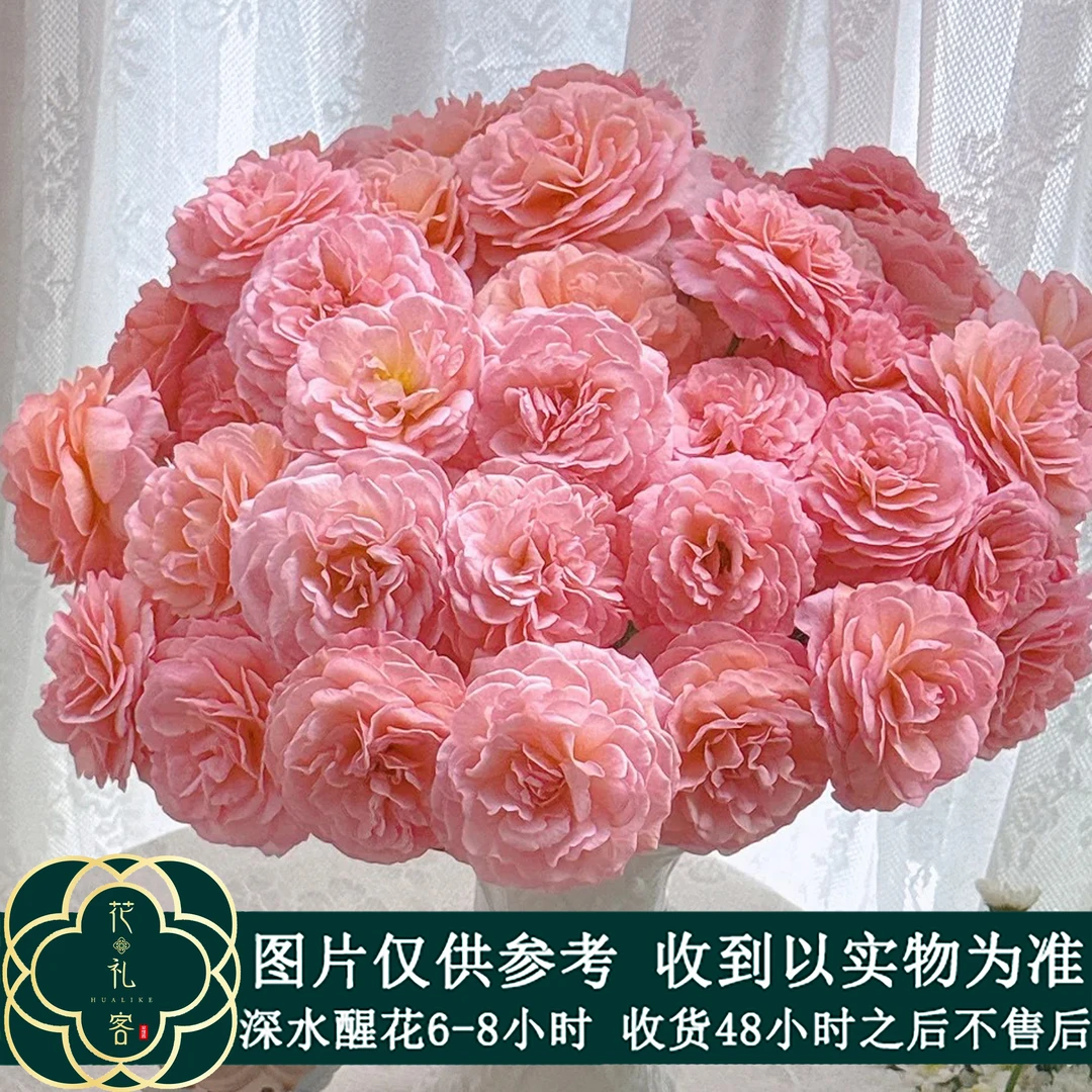 云花巷# 【南瓜车】稀有小众品种