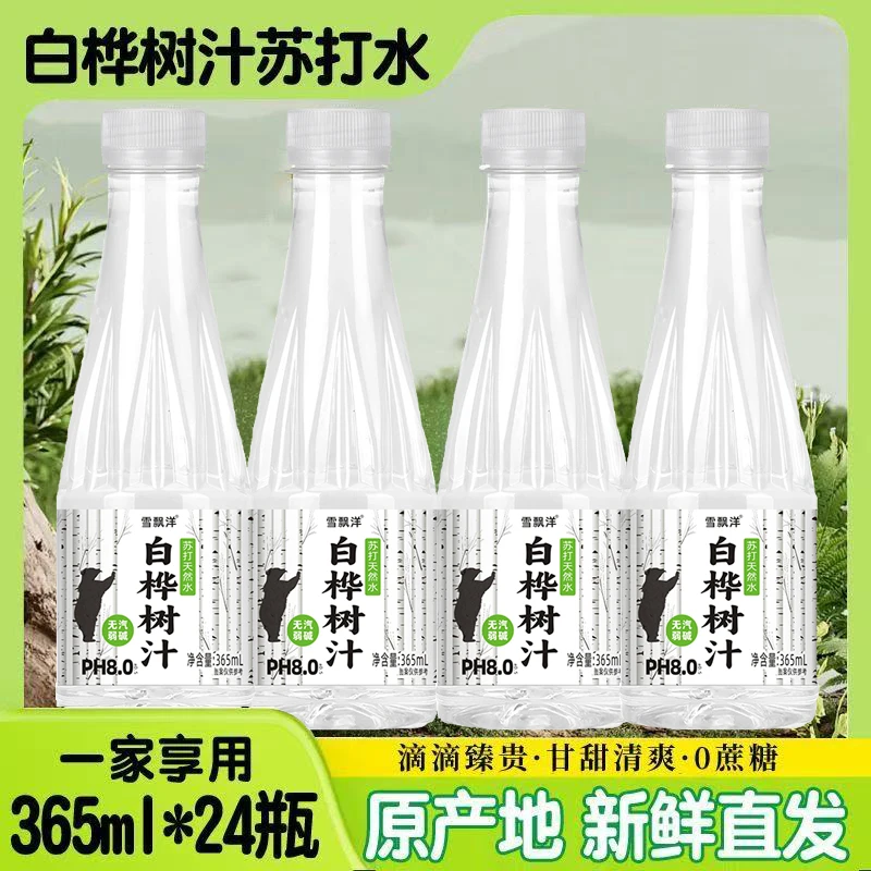 【厂家直销批发】白桦树汁苏打水饮料网红饮品 365ml*24瓶整箱特惠