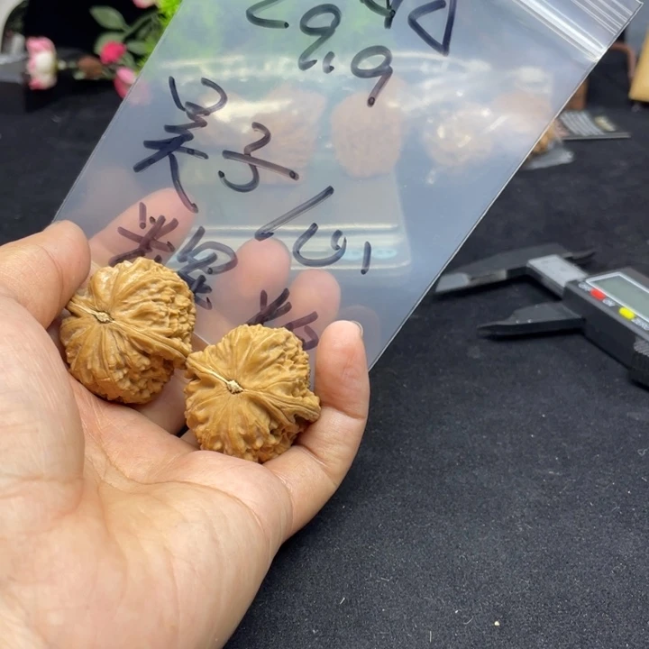 文玩核桃把件昊***煌白狮子